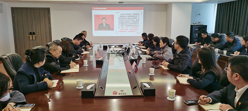 集團(tuán)黨委委員、副總經(jīng)理賀維維同志講授專題黨課